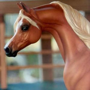 Meet your Posher, Candy